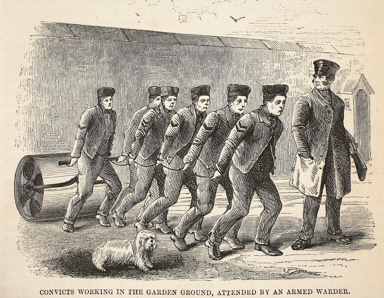 Domfelte som jobber i hageområdet, deltatt av en væpnet vaktmester, illustrasjon fra The Criminal Prisons of London og Scenes from Prison Life av Henry Mayhew og John Binny, pub. 1862 av English School