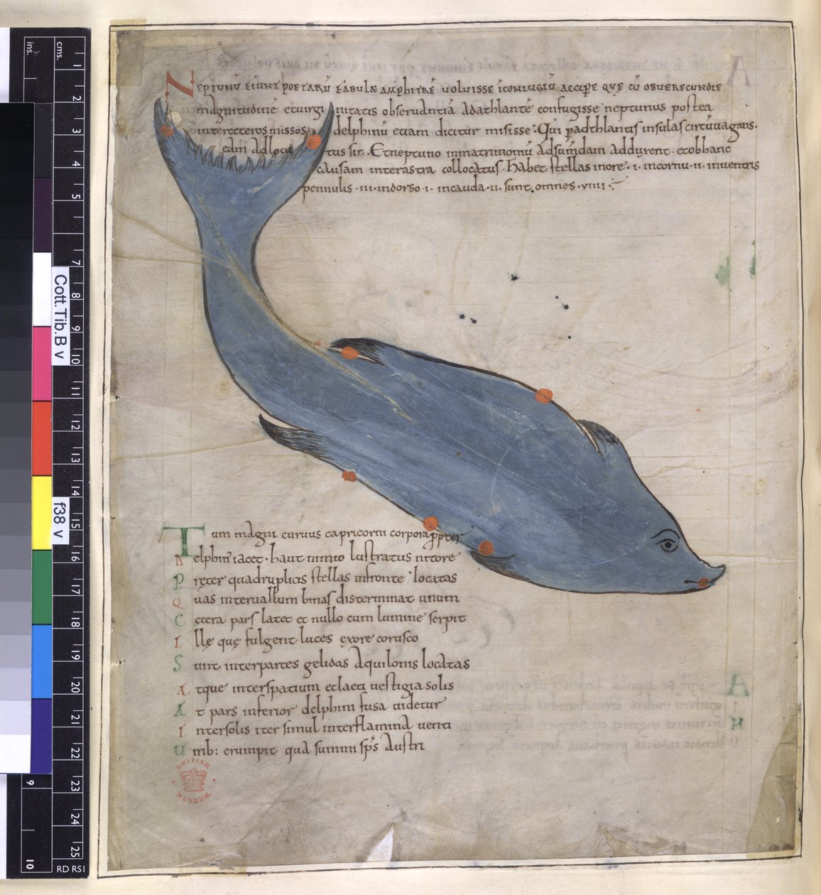Cotton Tiberius B. V, Del I fol.38v Konstellasjonen Delphinus fra 