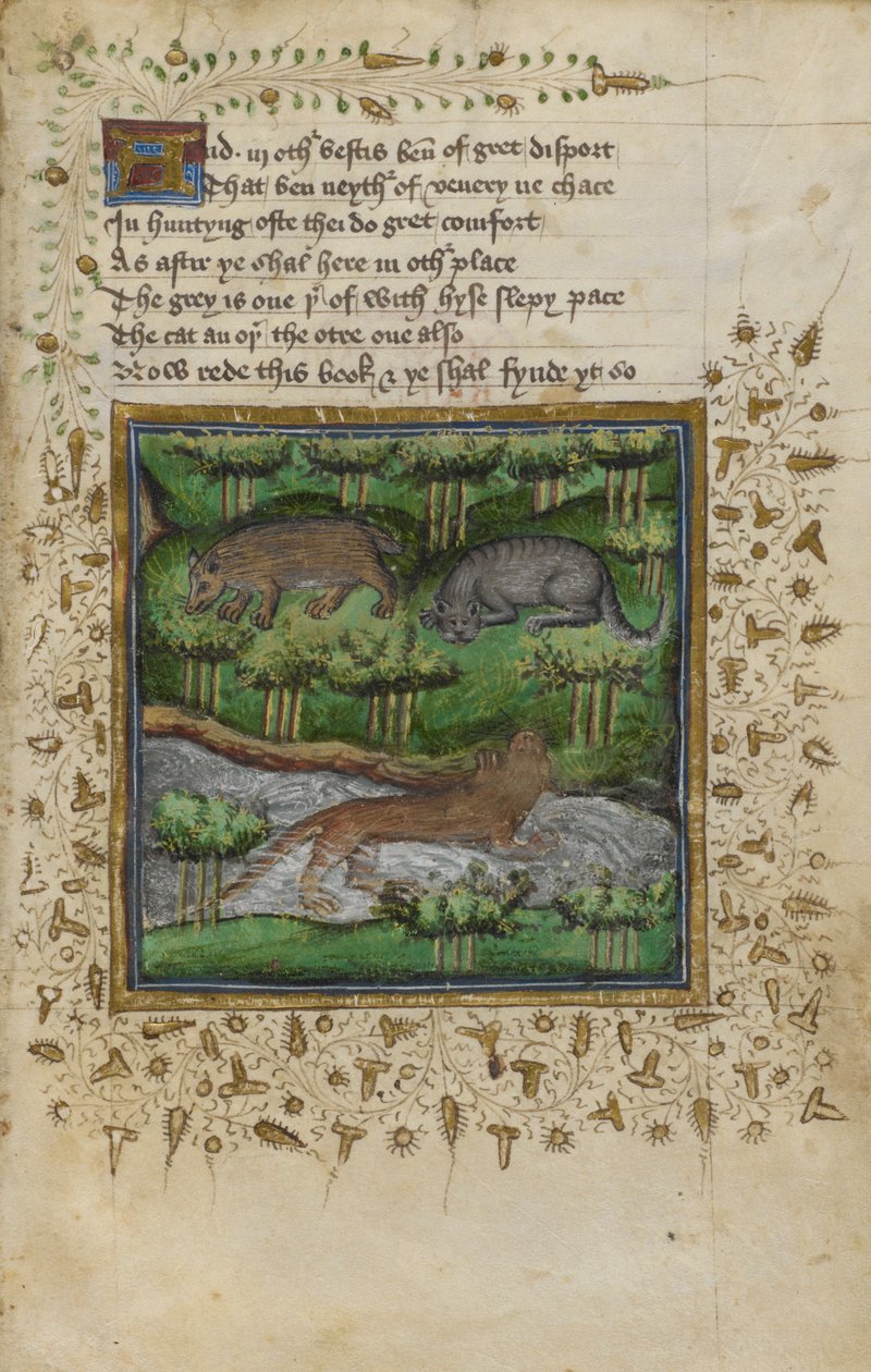 Bomull Vespasian B. XII, f.4 Illustrasjon av en grevling, villkatt og oter; med vers, fra en 