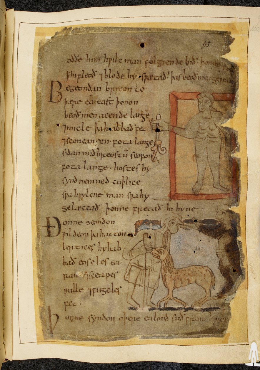 Cotton Vitellius A. XV, f.102, En naken mann som holder en plante; to menn som snakker, og mellom dem en lertix, et sauelignende beist, illustrasjon fra Beowulf, fra 