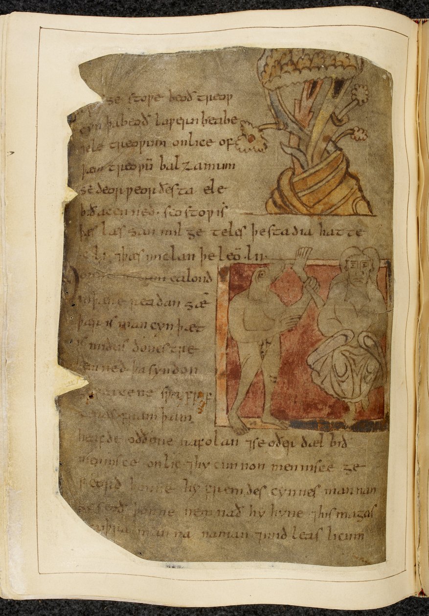 Cotton Vitellius A. XV f.103v, Et tre som det vokser balsam fra; en donestre, en beisthodet mann, til venstre som holder et menneskelig ben og fot, og en person til høyre, illustrasjon fra Beowulf, fra 