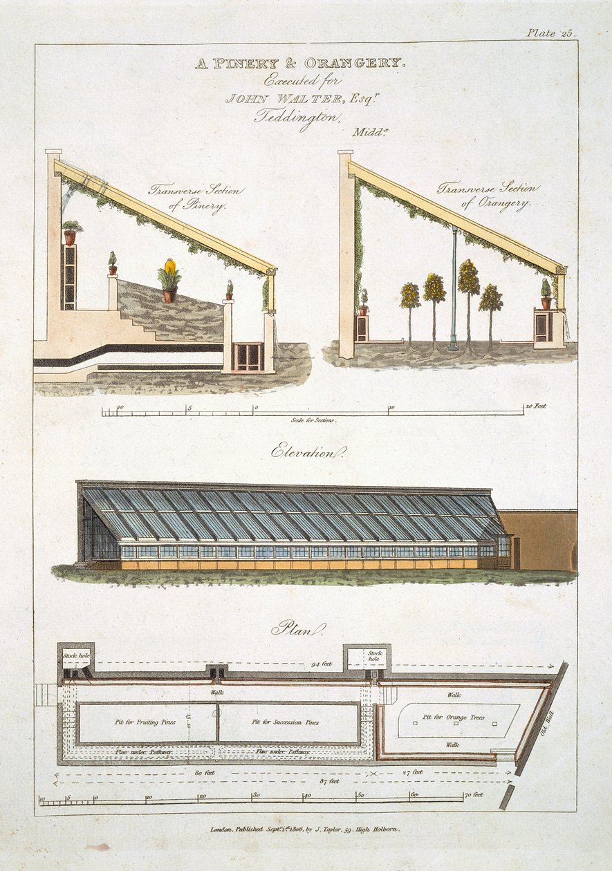 Design for et Pinery and Orangery i Teddington, 1806 av English School
