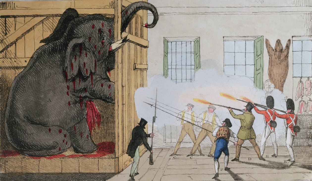 Ødeleggelse av den edle elefanten ved Mr Crosss Exeter Change, 1826 av English School
