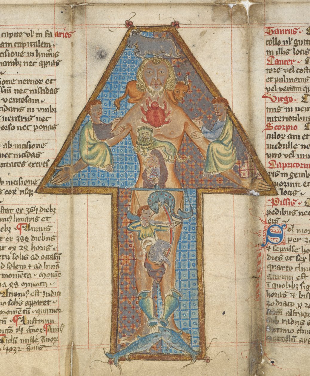 Detalj av Zodiac Man, illustrasjon fra 