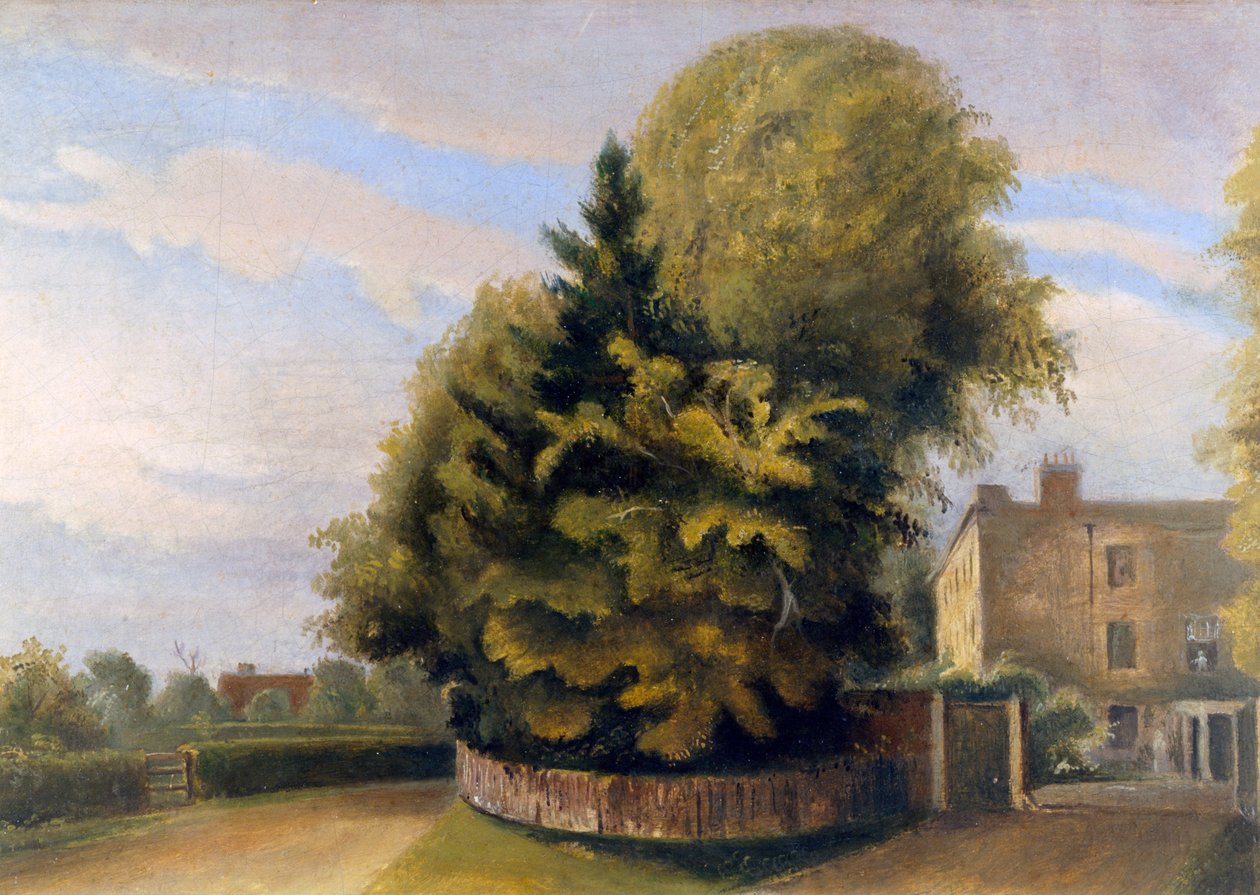 Down House from the North (olje på lerret) av English School