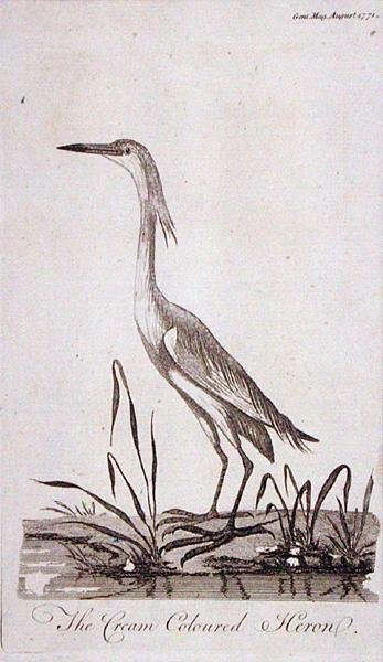 Egret, fra 