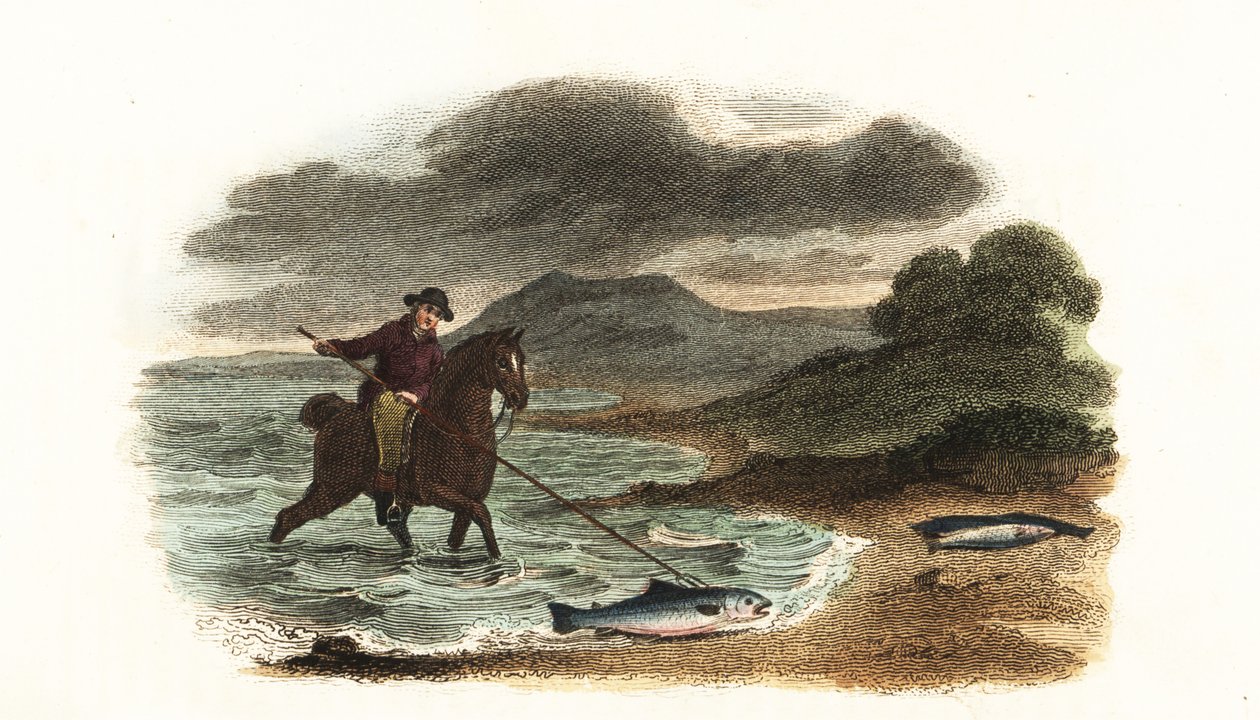 Den engelske fiskeren Graham jakter på laks i grunnen, montert på hesteryggen med et 5 meter 3-greners spyd av English School