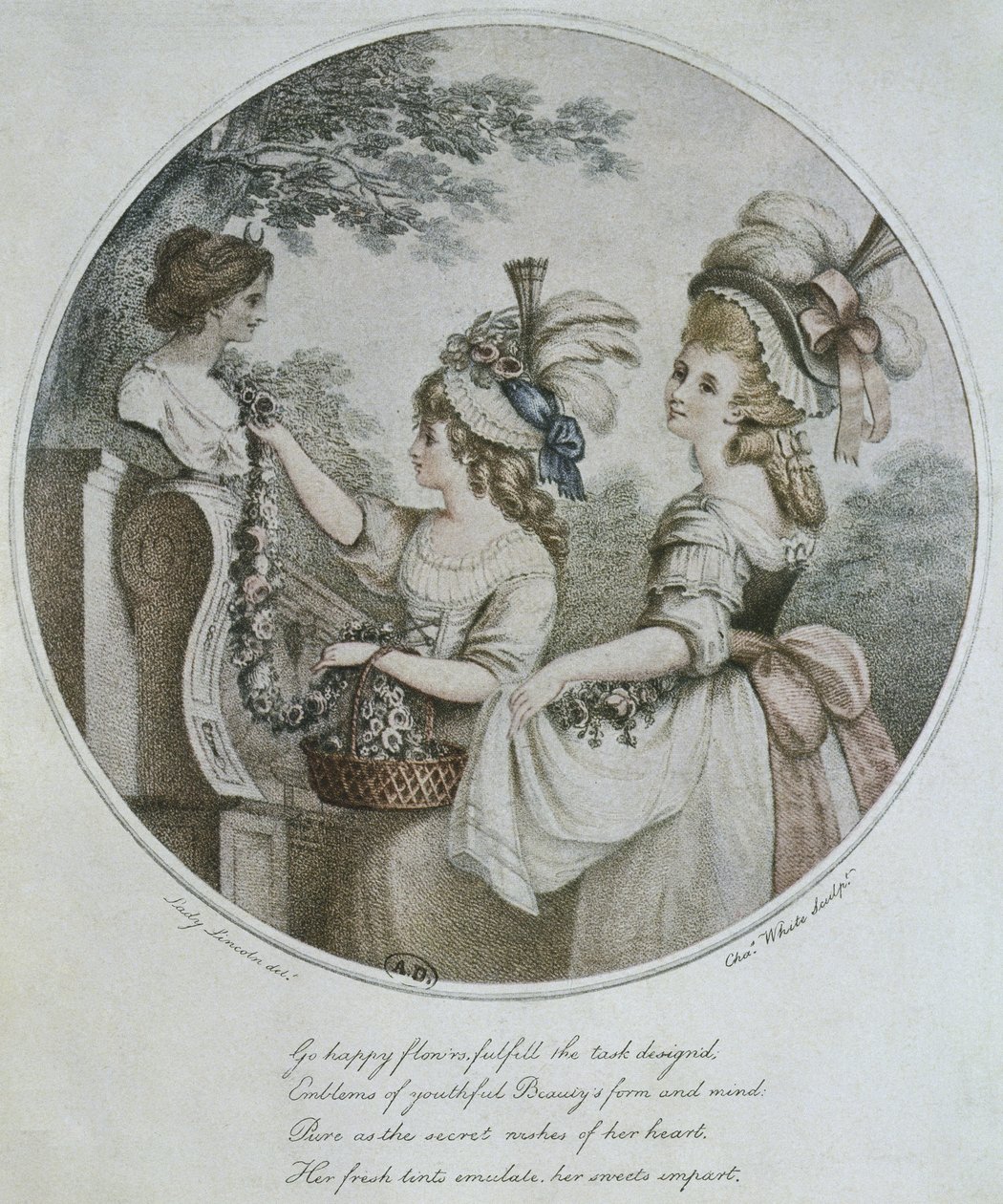 Engelske frisyrer, gravert av Charles White (fargegravering) av English School