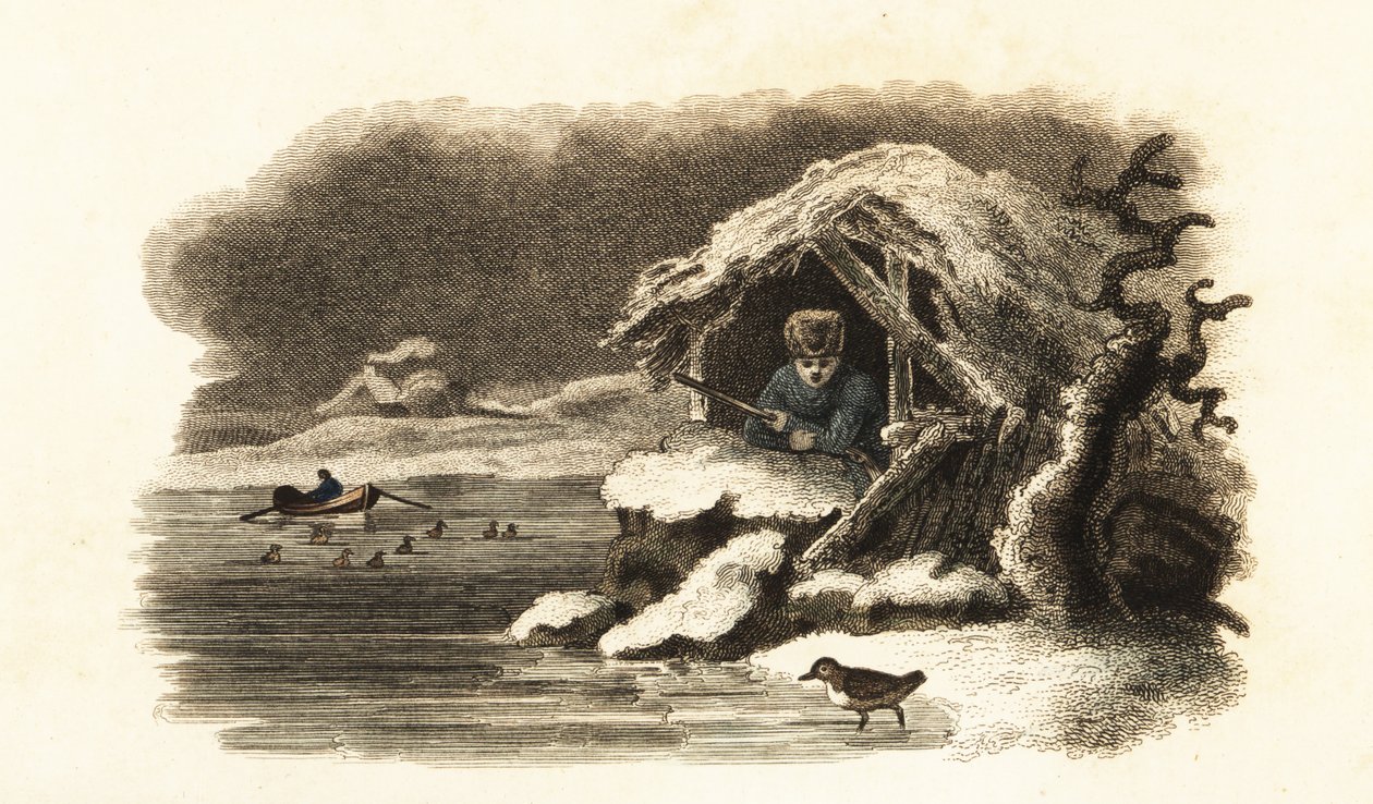 Europeisk vannouzel går inn i Lake Nantua, Frankrike, og fortsetter nedsenket på bunnen av innsjøen i en luftboble av English School