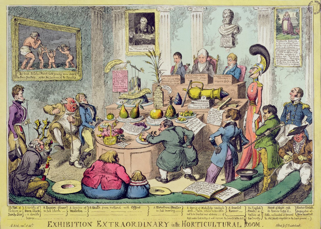 Exhibition Extraordinary in the Horticultural Room, etset av George Cruikshank (1792-1878), pub. av G. Humphrey, 1826 (farget etsning) av English School