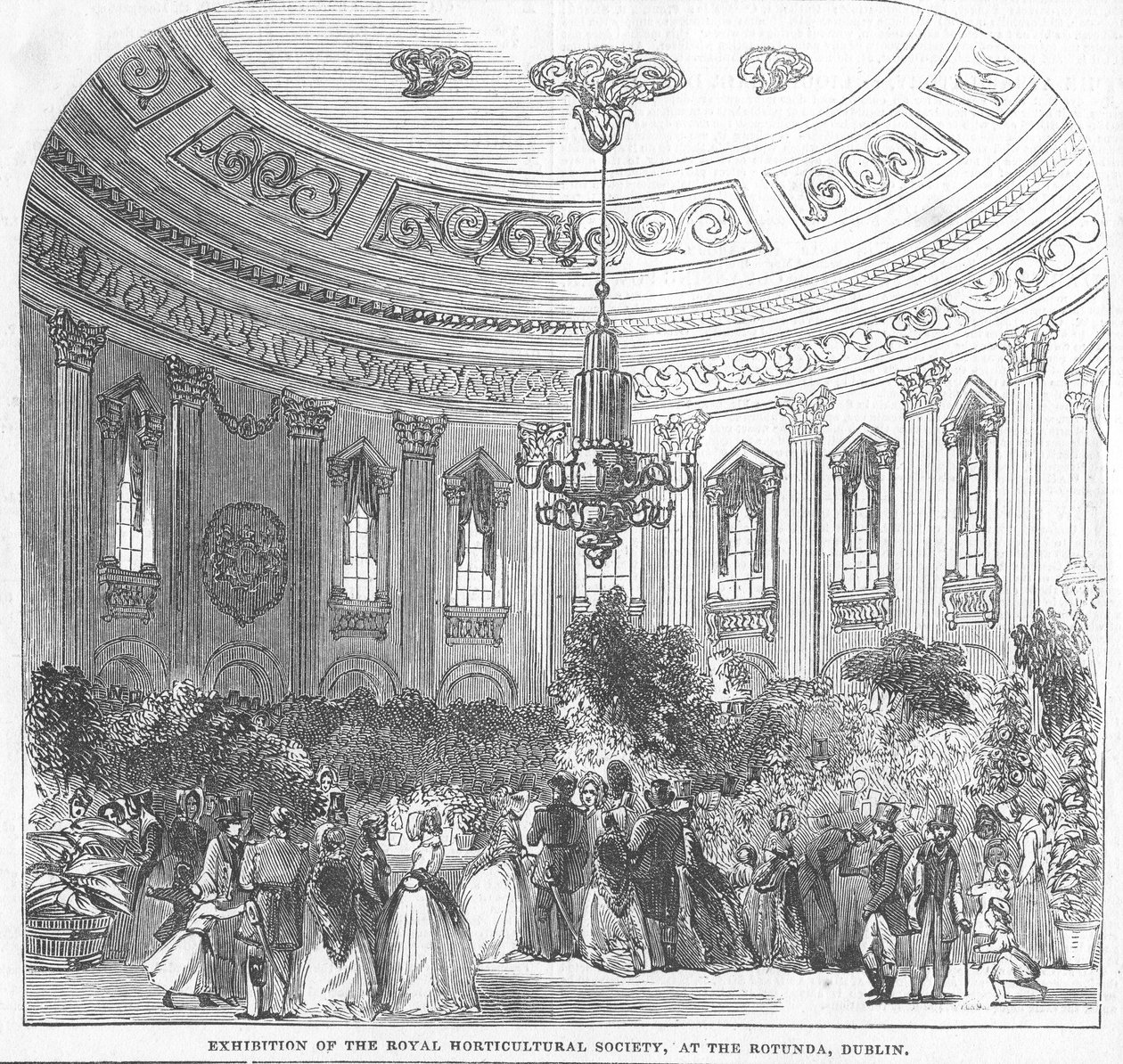 Utstilling av Royal Horticultural Society, ved Rotunda, Dublin, illustrasjon fra 'The Illustrated London News', 1854 av English School