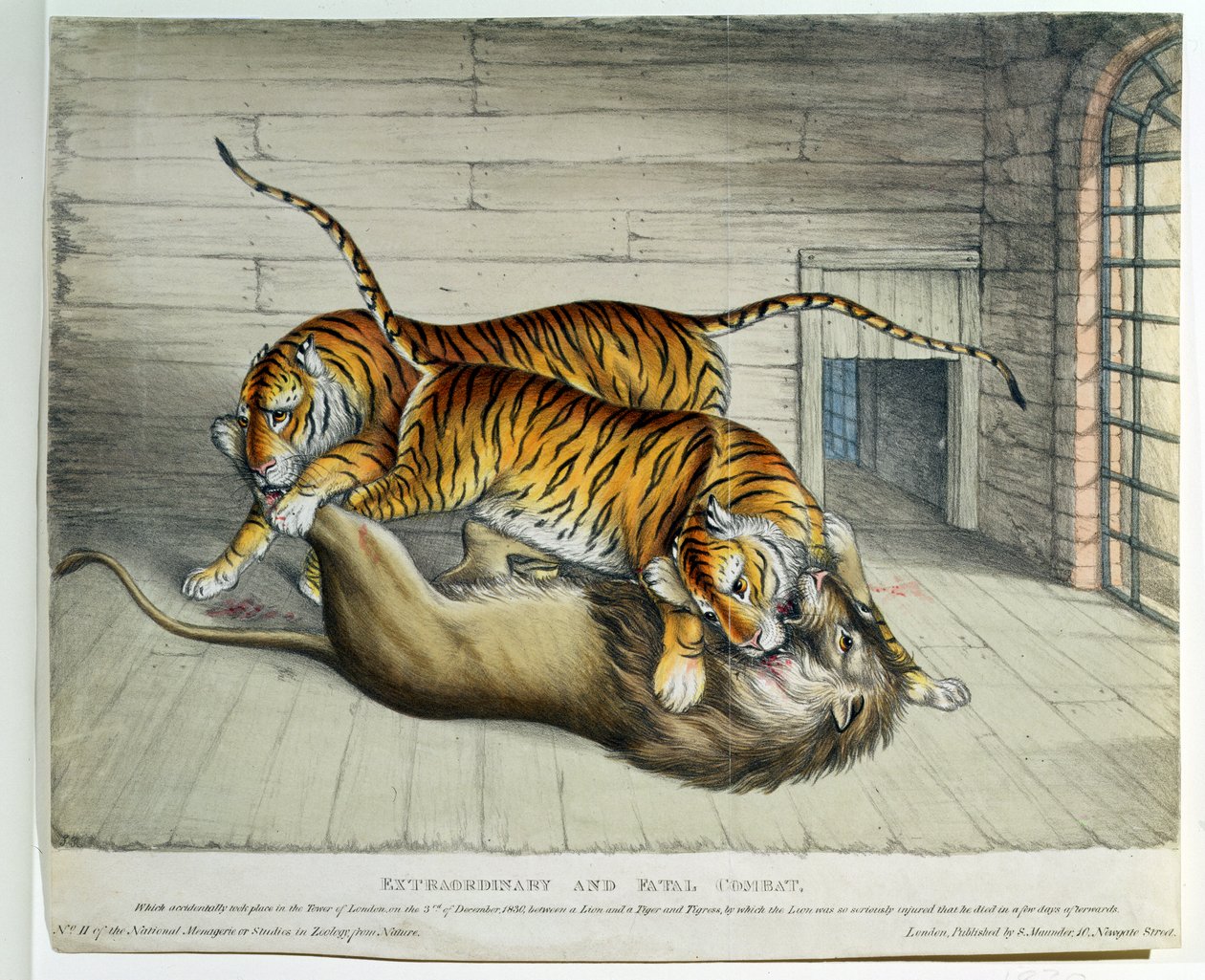 Ekstraordinær og fatal kamp, 1830 (farget lito) av English School