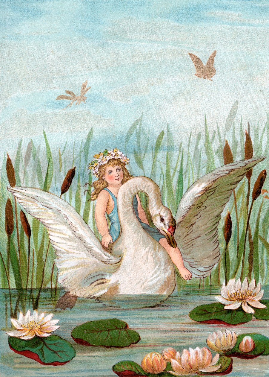 Fairy Riding a White Swan Blant Cattails and Lilypads av English School