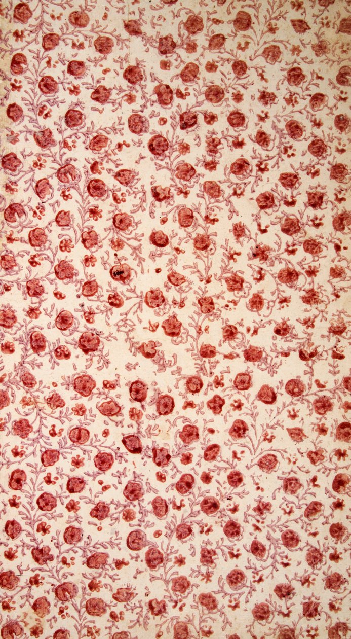 Floral Endpaper håndfarget gravering. av English School