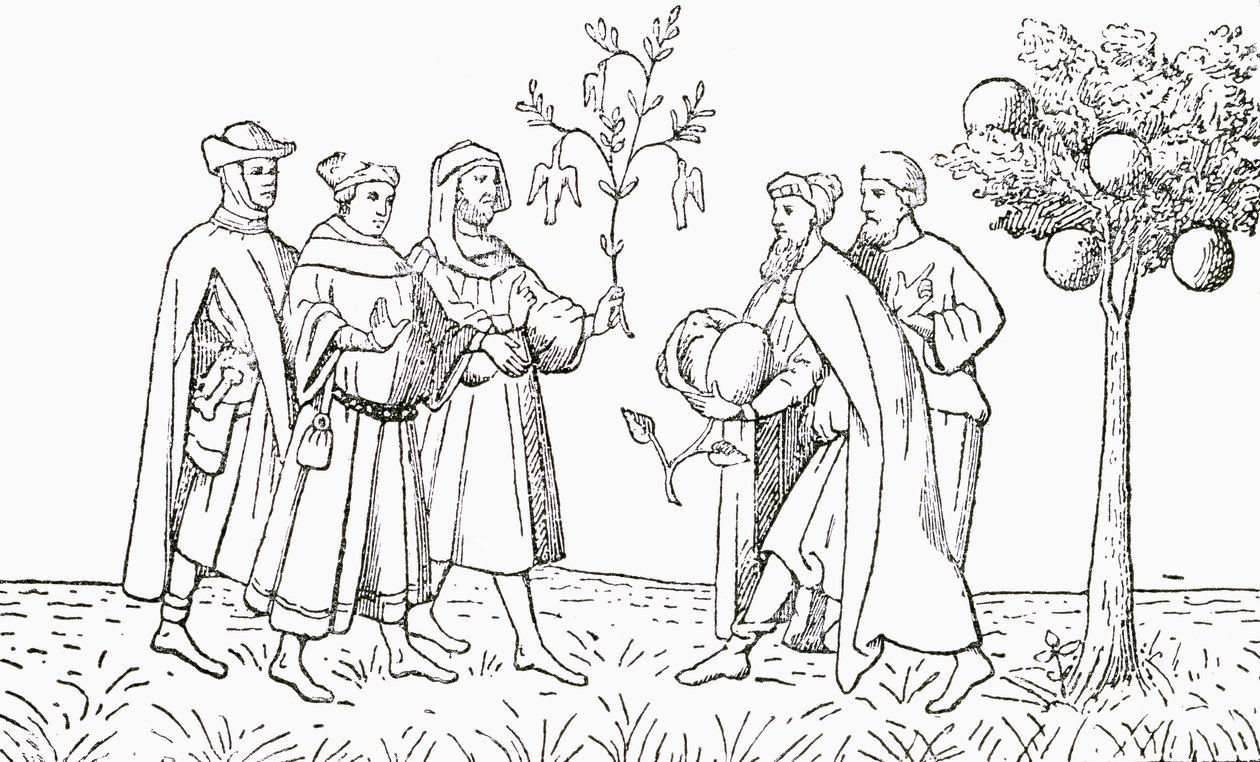 Friar Oderic fra Pordenone som holder en gren fra et tre som fugler vokser på, og blir vist etter tur av den lokale kongen, Lammetreet fra Tartary, som viser et lam som dukker opp, illustrasjon fra The Strand Magaz av English School