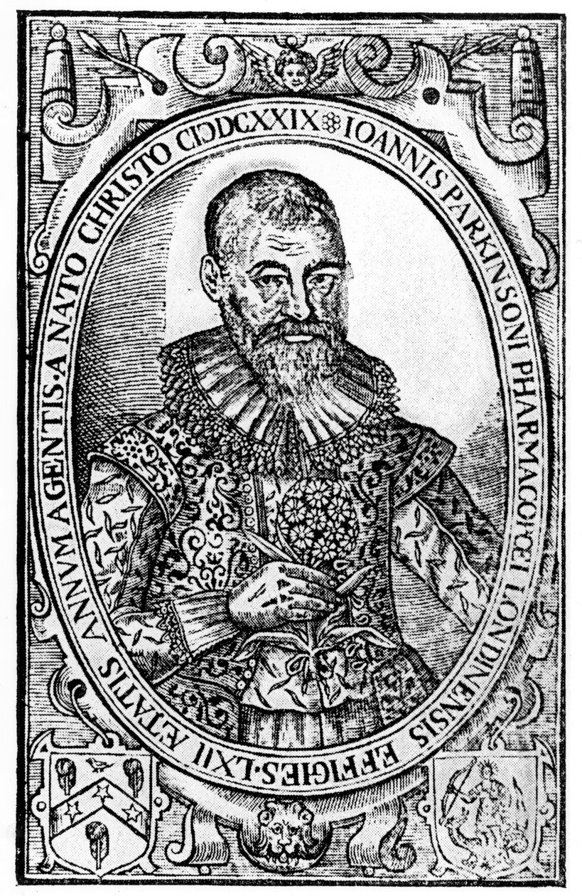 Frontispice for Paradisi in Sole Paradisus Terrestris av John Parkinson, utgitt 1629 av English School
