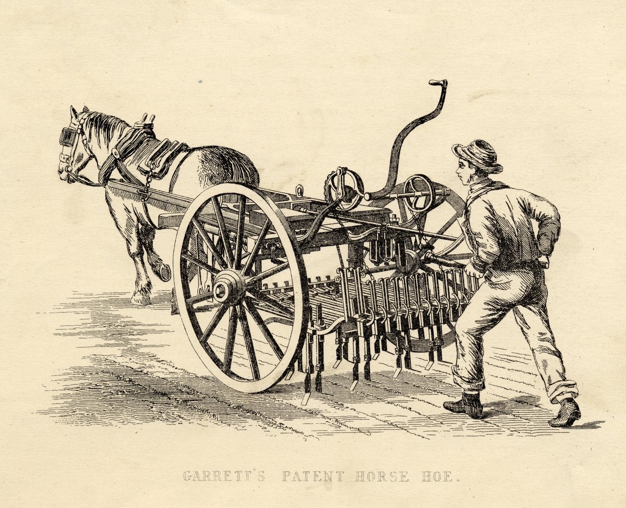 Garretts Patent Horse Hoe av English School