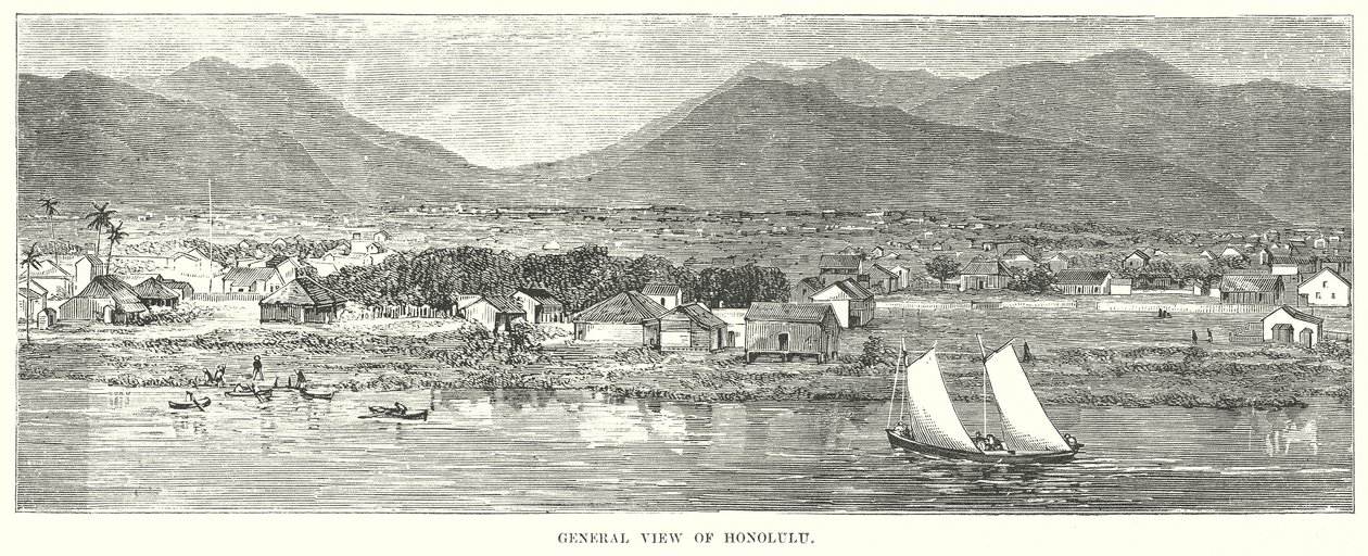 Generelt bilde av Honolulu (gravering) av English School