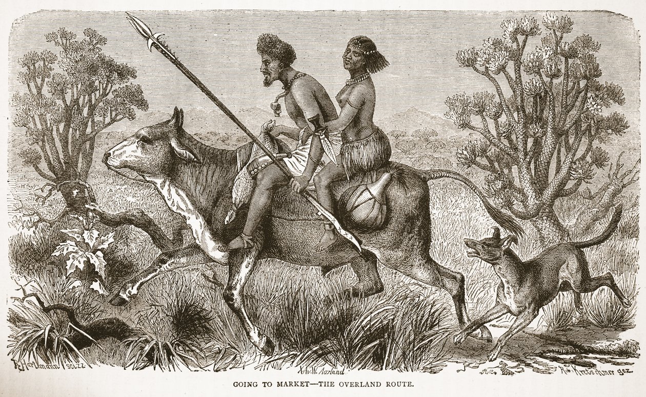 Går til markedet – landveien, illustrasjon fra The Pictorial Edition of the Life and Discoveries of David Livingstone av J. Ewing Richie, pub. av A. Fullarton & Co., 1876 av English School