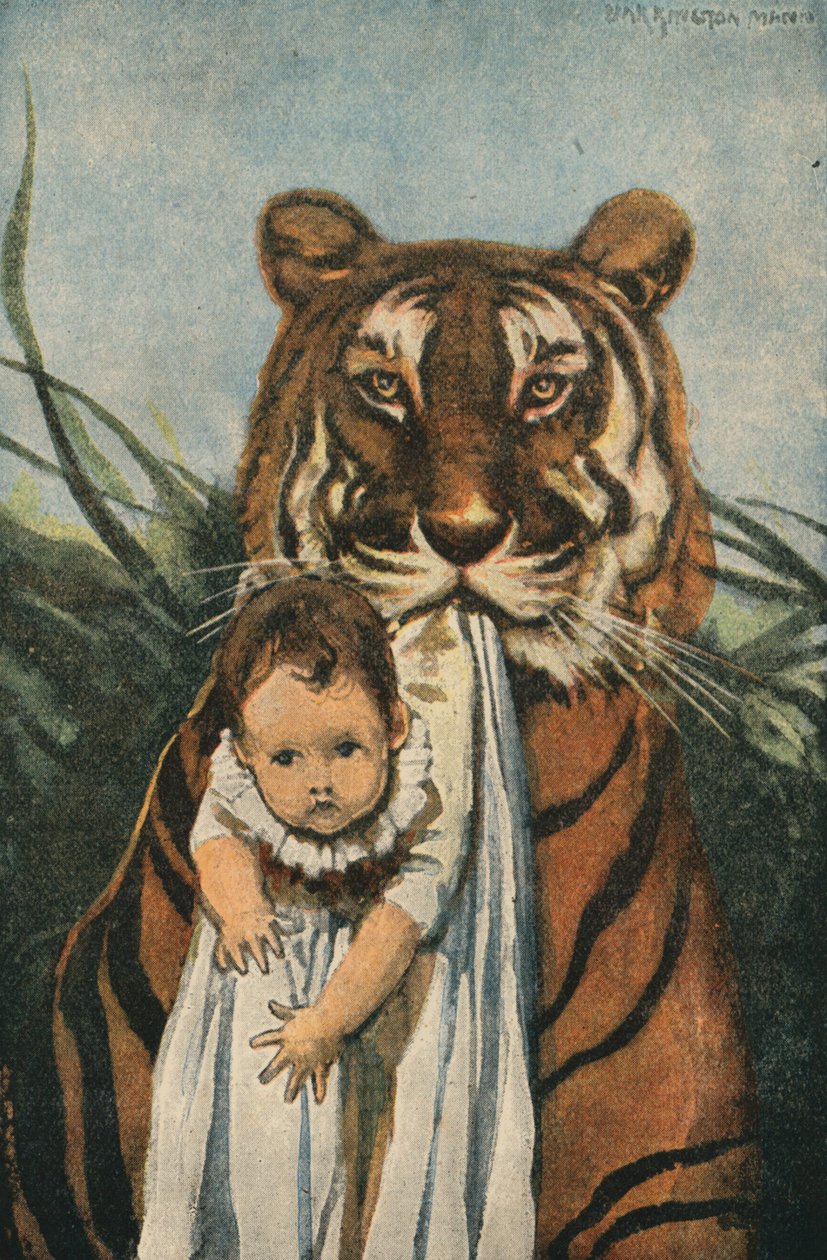 God tiger (fargelitografi) av English School