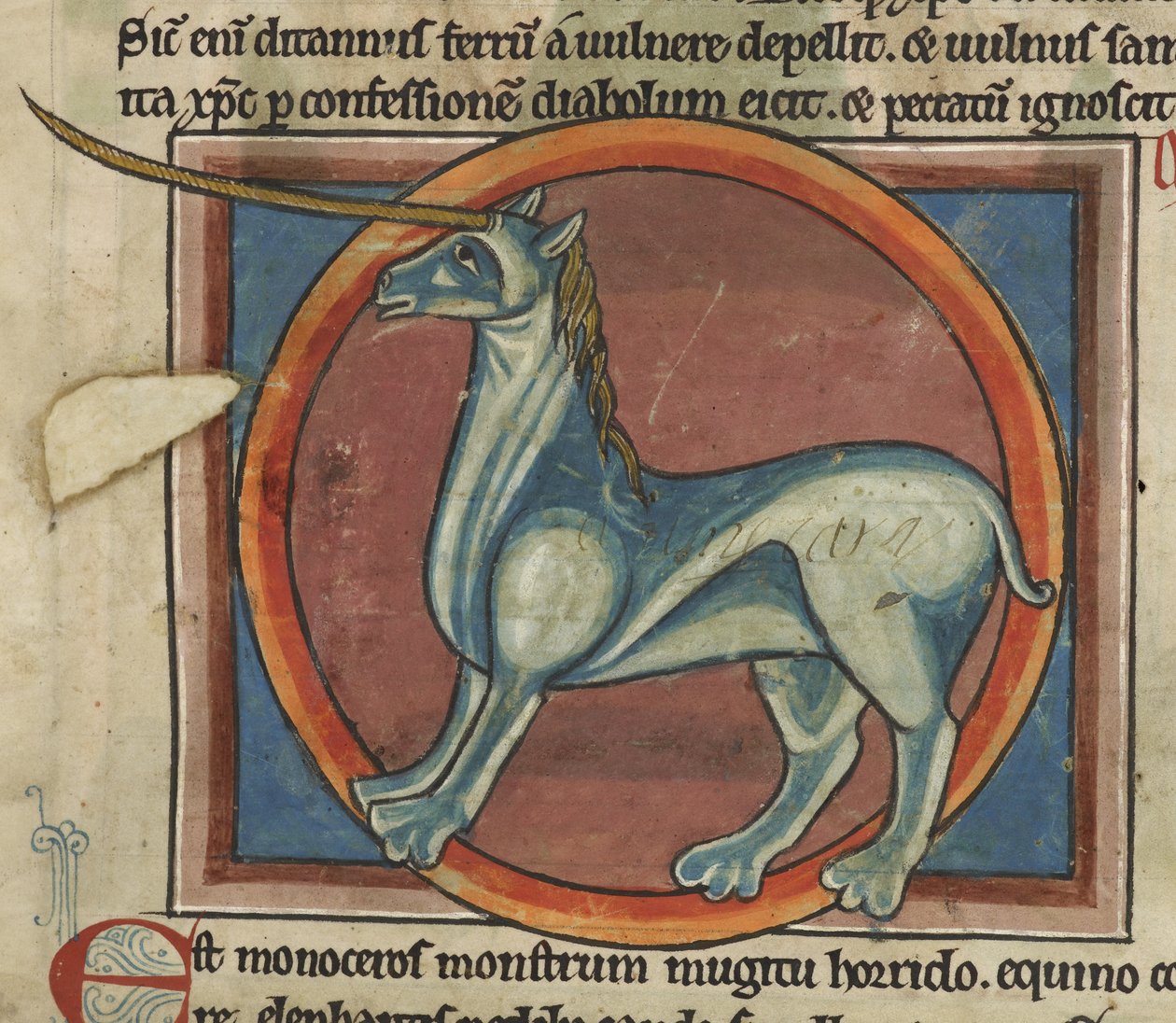 Harley 4751, f.15 Monoceros med et stort horn, fra et 