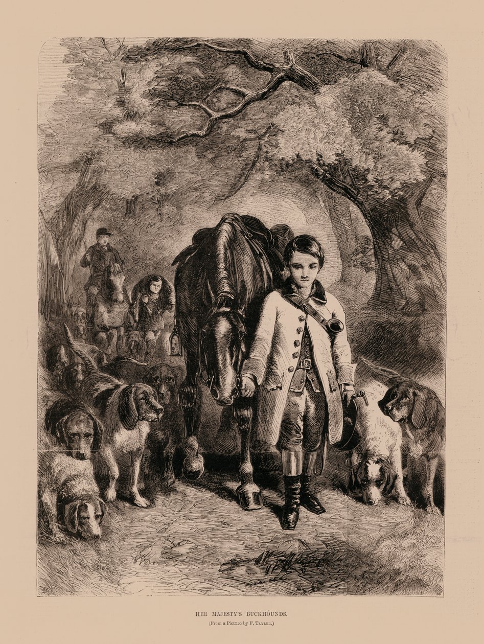 Hennes Majestets Buckhounds (gravering) av English School