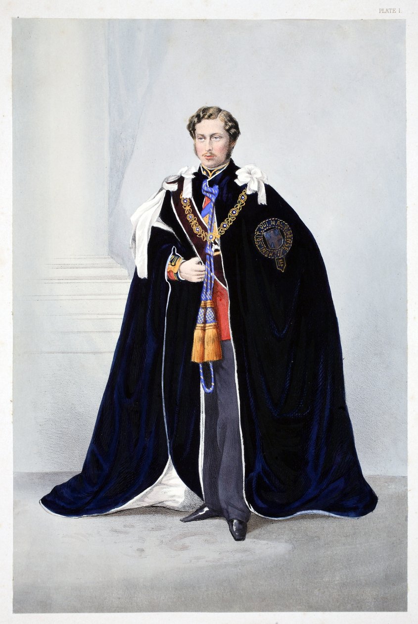 Hans kongelige høyhet, Albert Edward, Prince of Wales, fra A Memorial of the Marriage of Edward VII and Alexandra of Denmark, pub. 1864 av English School