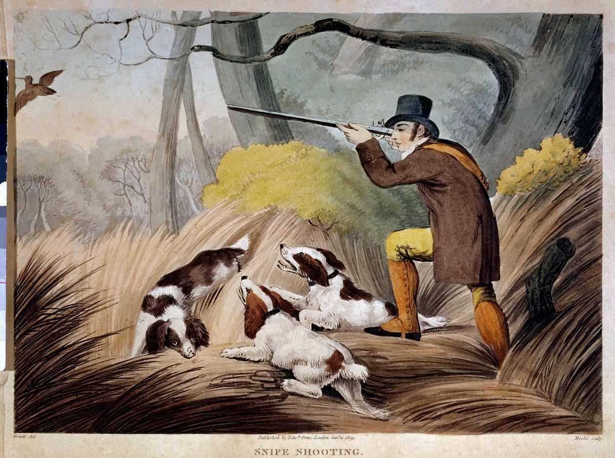 Jakt på nebb i England. Akvarellgravering fra 1800-tallet. Gien, jaktmuseum. av English School