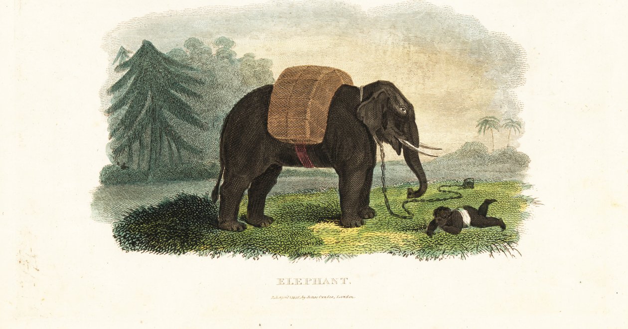 Indisk barn forlatt under beskyttelse av en lenket elefant mens foreldrene søker mat i skogen av English School