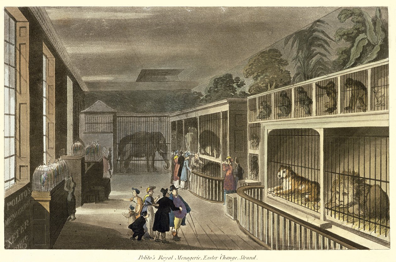 Innvendig visning av Politos Royal Menagerie, Exeter Change, Strand, 1812 (akvatint) av English School