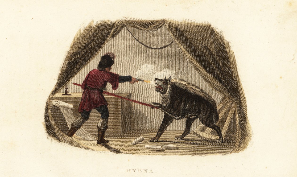 James Bruce dreper en hyene med en pistol og gjedde i teltet sitt i Maitsha, Abyssinia (nær Gondar, Etiopia) av English School