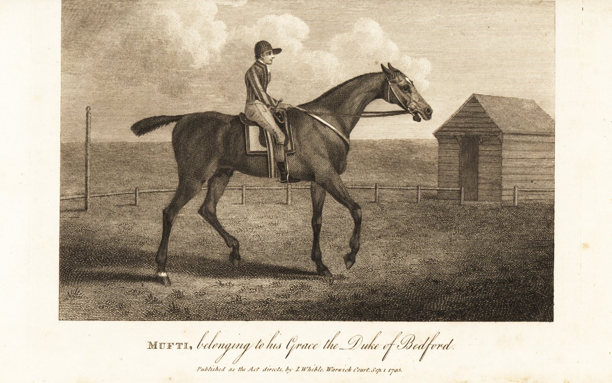 Jockey på den berømte fullblodsraceren Mufti, tilhørende hans Grace the Duke of Bedford av English School