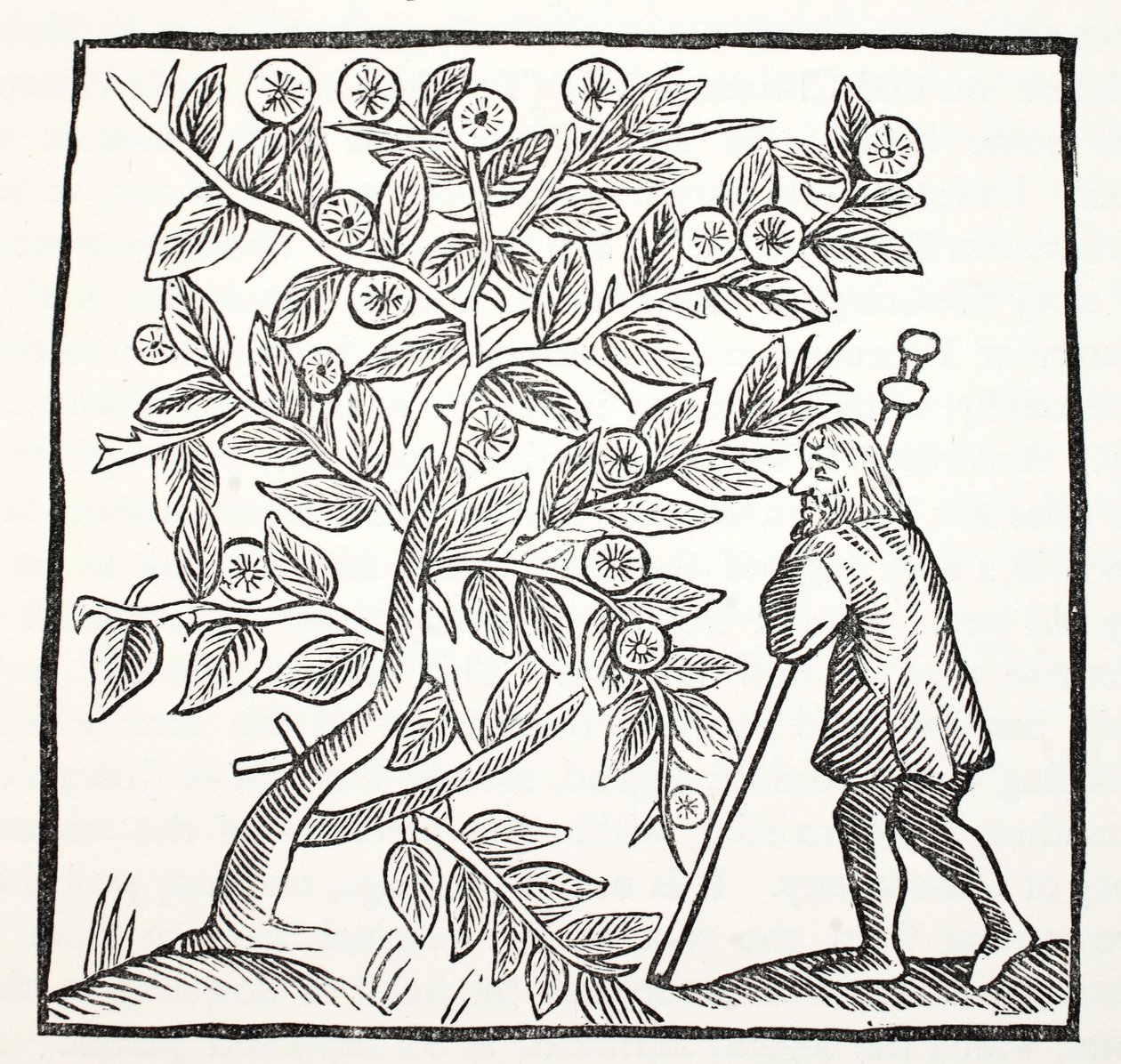 Joseph of Arimathea and the Glastonbury Thorn, illustrasjon fra Chap-books of the Eighteenth Century av John Ashton, pub. 1882 av English School
