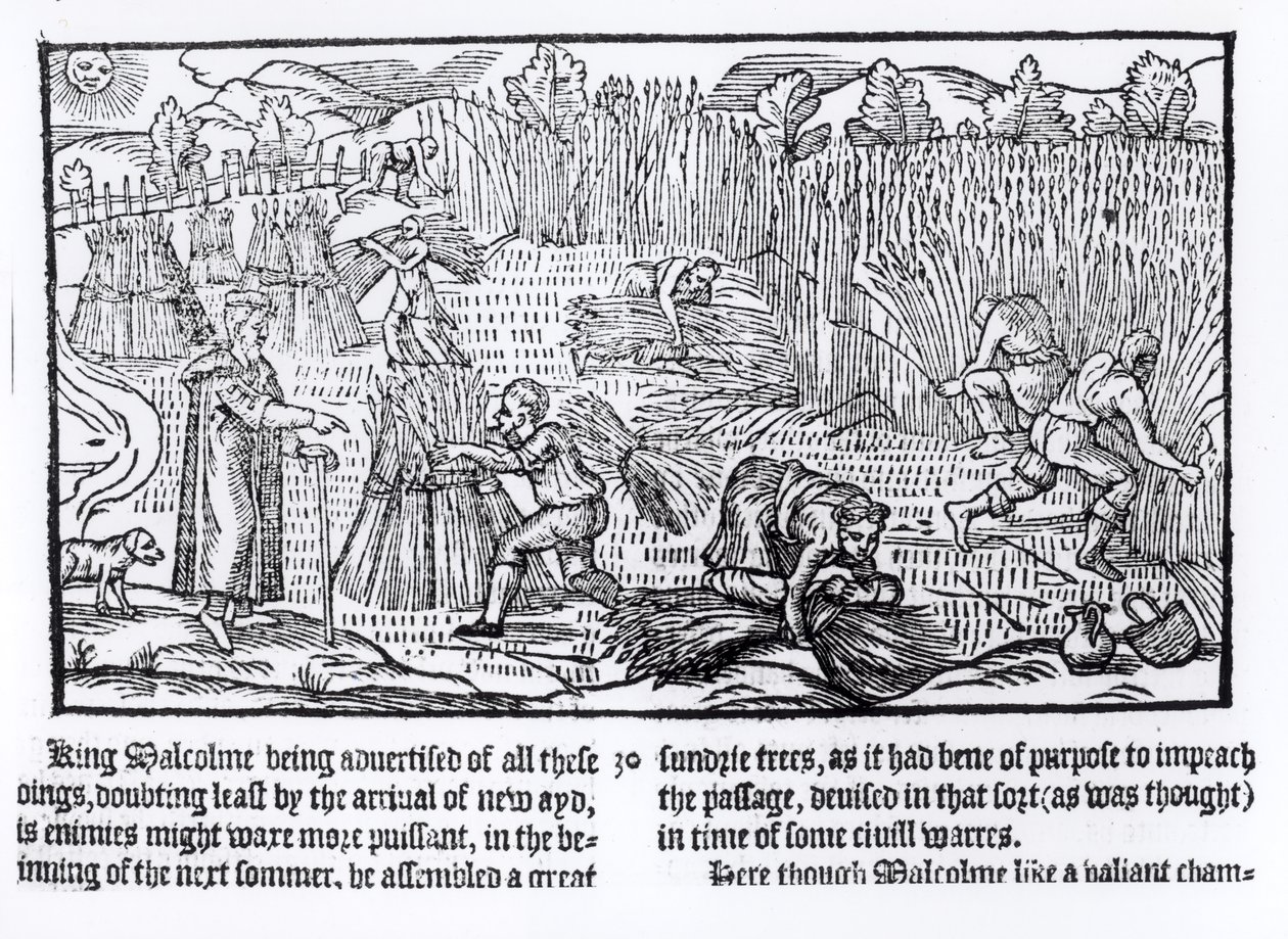 Kong Malcolm av Skottland observerer jordbruksarbeid, 1586 av English School