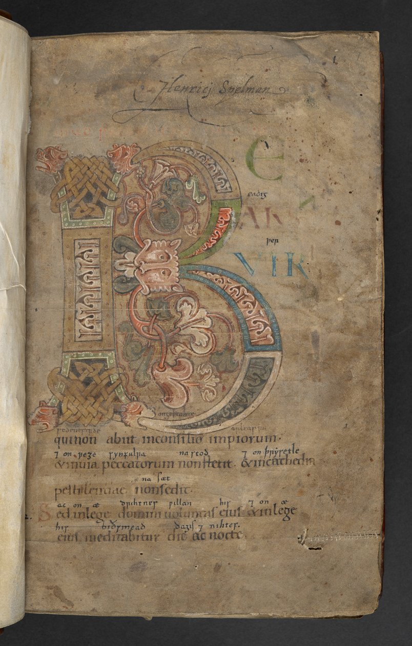 Stor initial med beisthodeterminaler, flettet og bladdekor i rosa, oransje, gult, grønt og blått (vellum) av English School