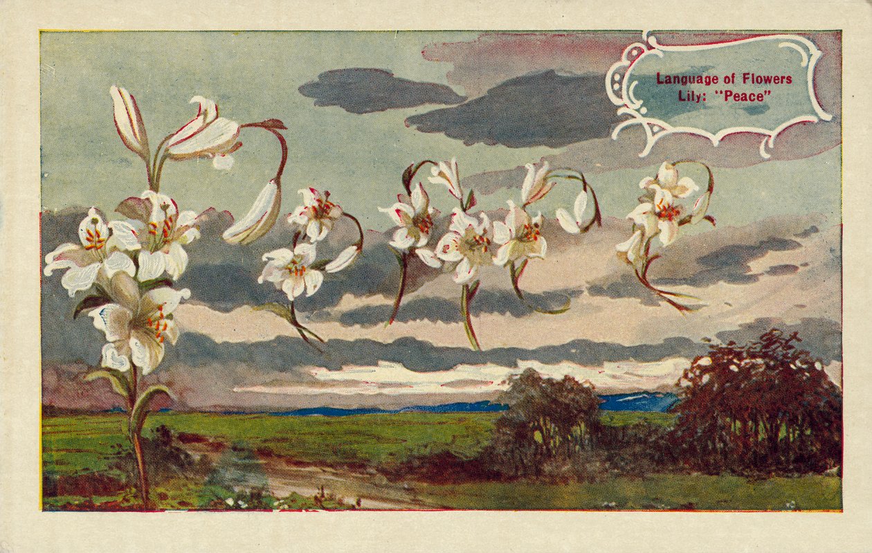 Lilje betyr fred på blomsterspråket (fargelitografi) av English School