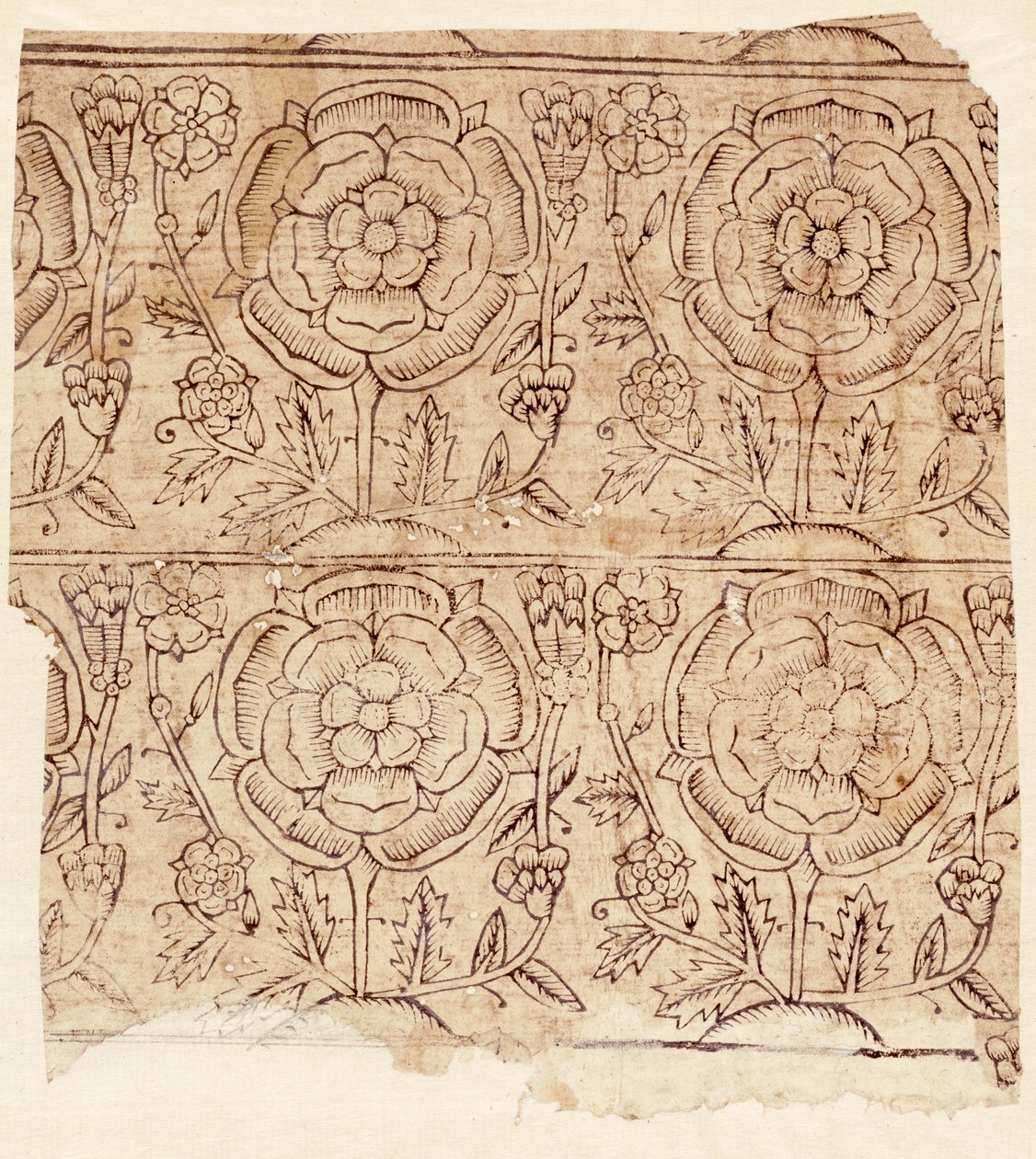 Fôrpapir med Tudor Rose-mønster, ca. 1550 (treblokktrykk) av English School