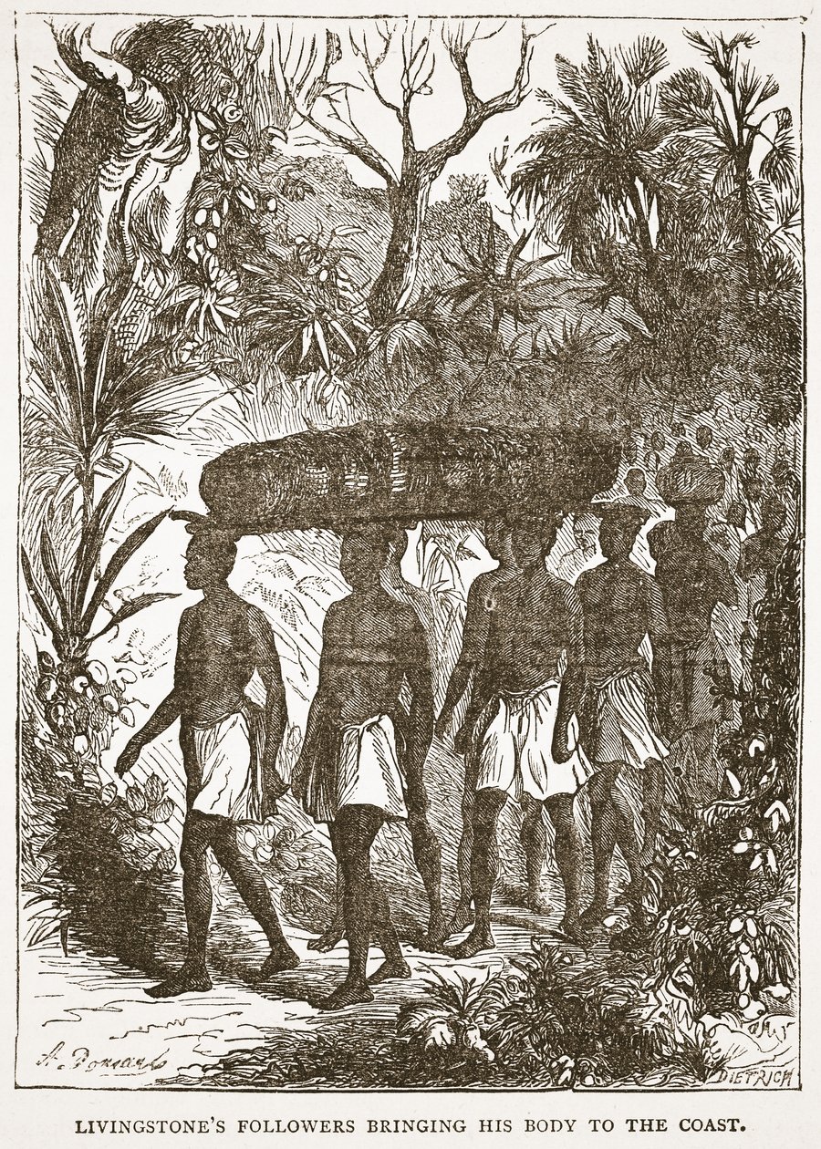 Livingstones tilhengere som bringer kroppen hans til kysten, illustrasjon fra The Pictorial Edition of the Life and Discoveries of David Livingstone av J. Ewing Richie, pub. av A. Fullarton & Co., 1876 (li av English School