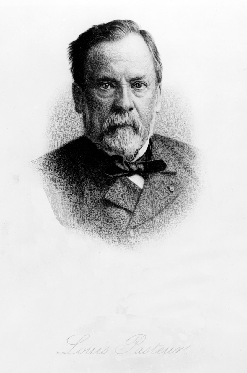 Louis Pasteur (1822-95) av English School