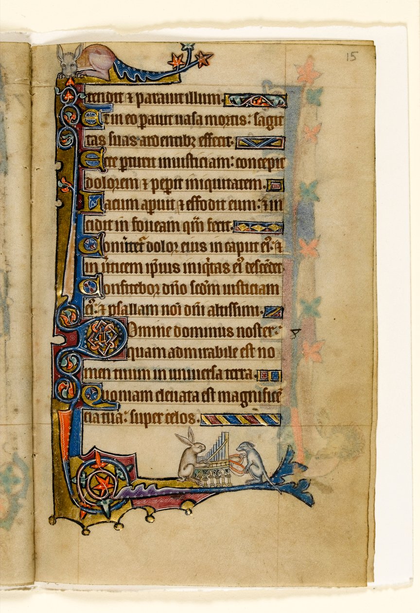 MS 1-2005, fol. 15r: En hare og en hund som spiller et orgel, marginal dekorasjon fra Macclesfield Psalter, Use of Sarum, East Anglia, ca. 1330 av English School