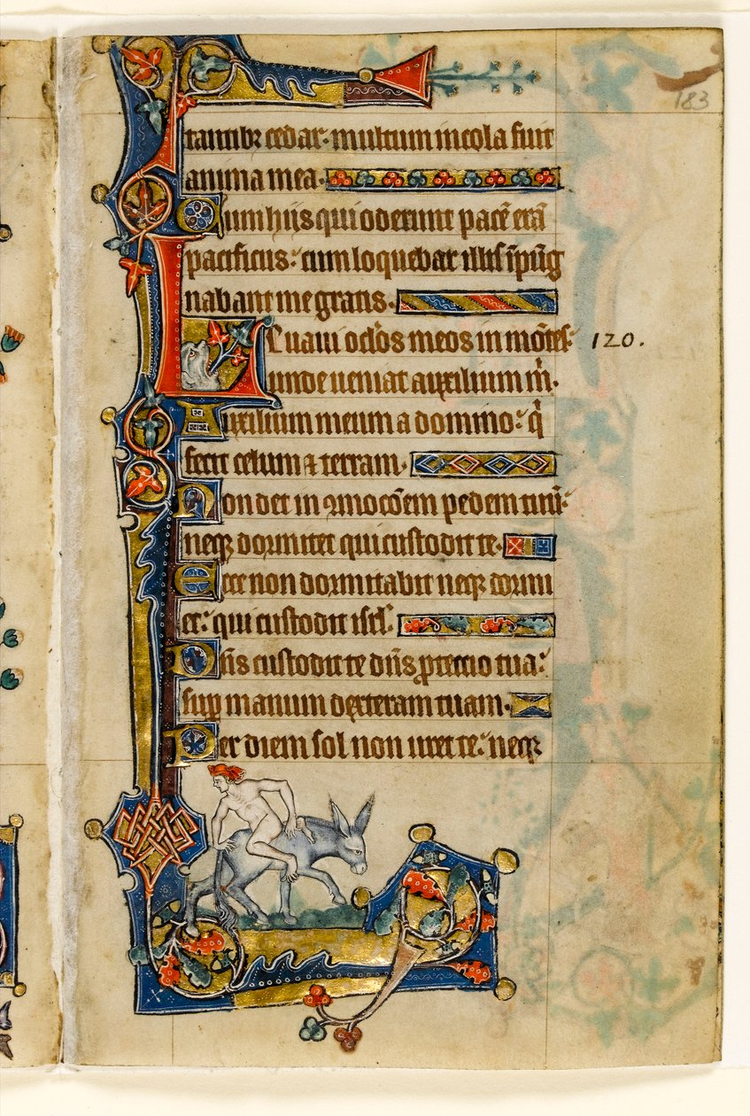 MS 1-2005, fol. 183r: A Man Riding Backwards, marginal dekorasjon fra Macclesfield Psalter, Use of Sarum, East Anglia, ca. 1330 av English School
