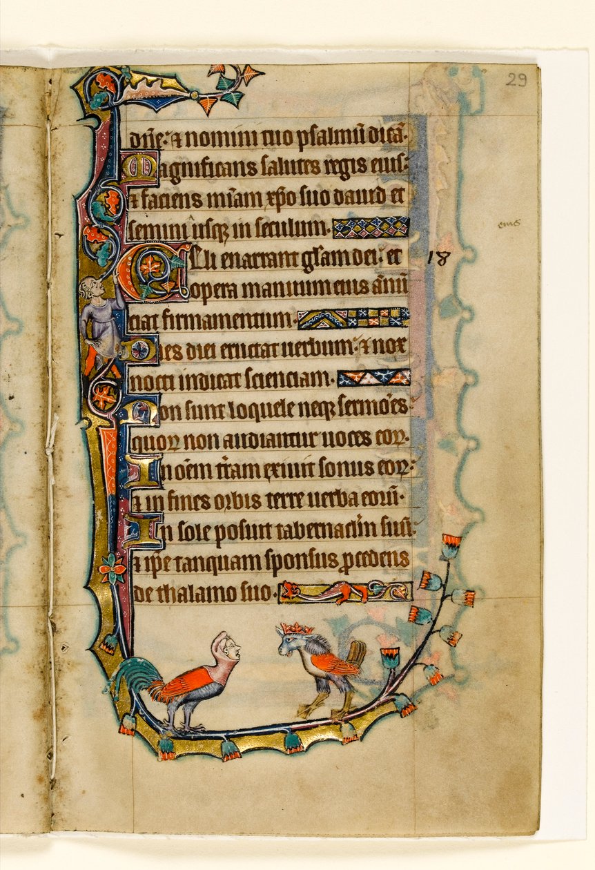 MS 1-2005, fol. 29r: Two Bird like grotesques, marginal dekorasjon fra Macclesfield Psalter, Use of Sarum, East Anglia, ca. 1330 av English School
