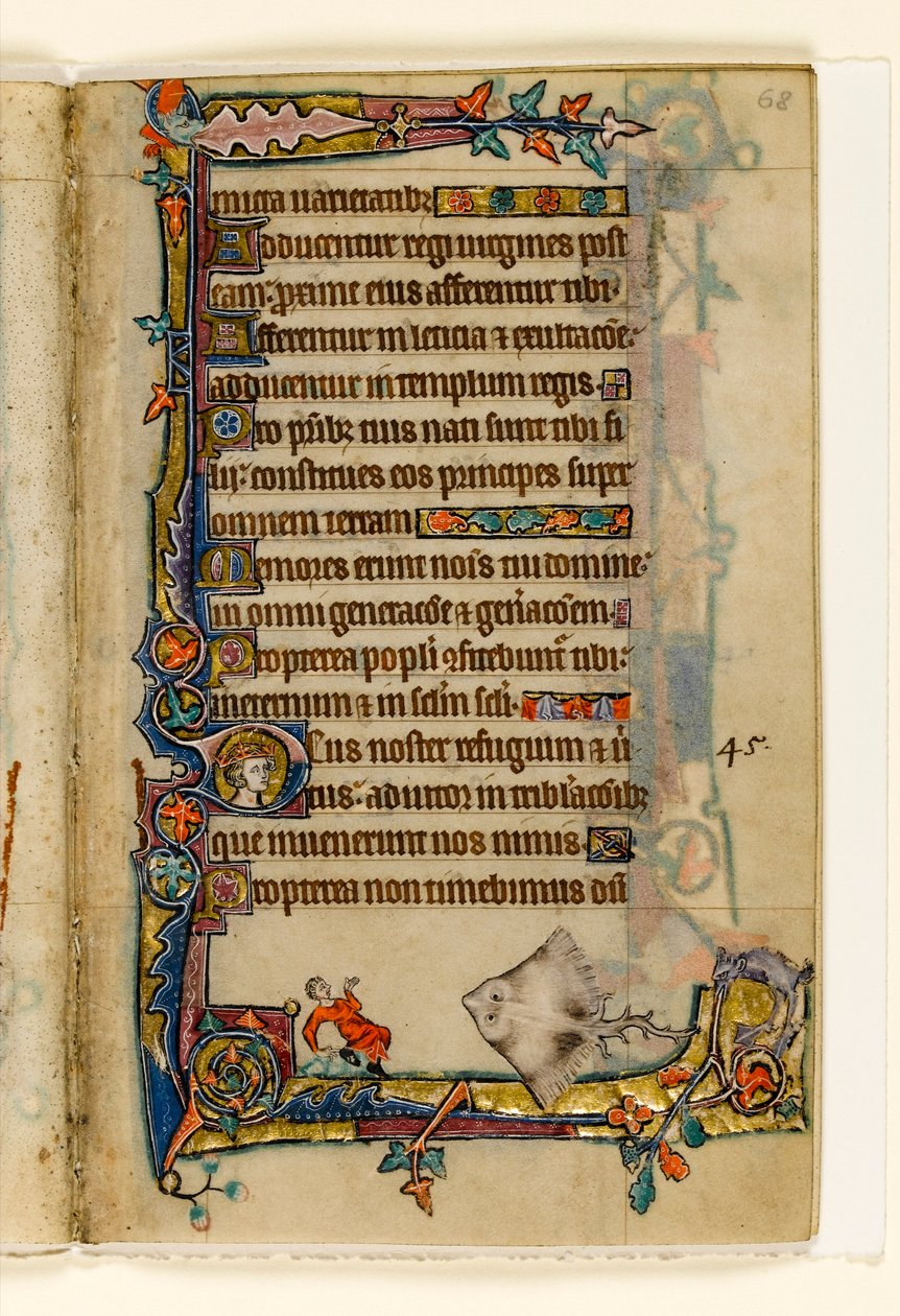 MS 1-2005, fol. 68r: The Giant Skate, marginal dekorasjon fra Macclesfield Psalter, Use of Sarum, East Anglia, ca. 1330 av English School