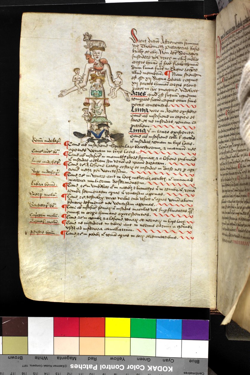 MS Hunter 251 f.47v, illustrasjon av en 