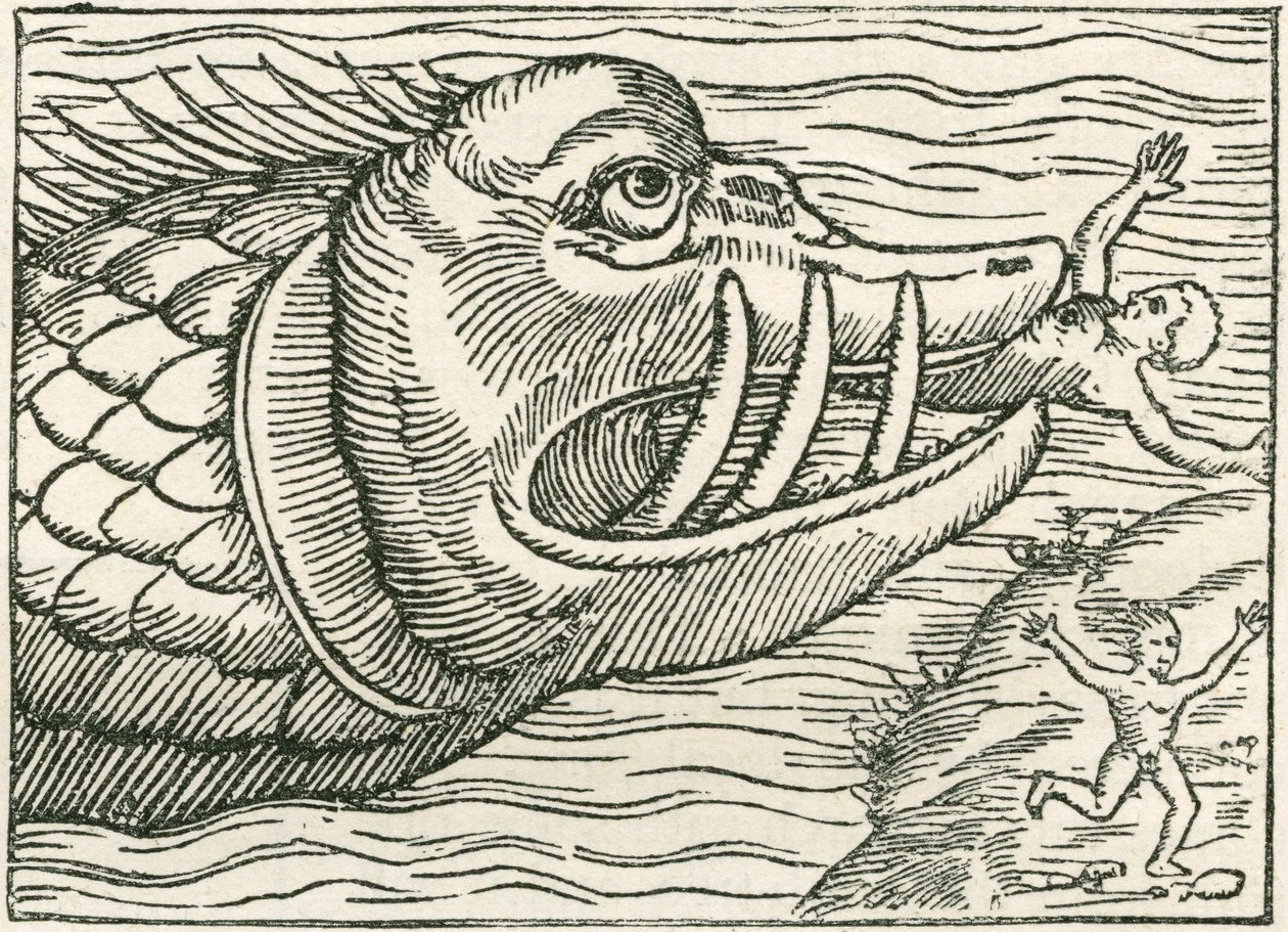 Mann blir spist av en sjøorm. Illustrasjon funnet i margen på kart utarbeidet av Olaus Magnus av English School