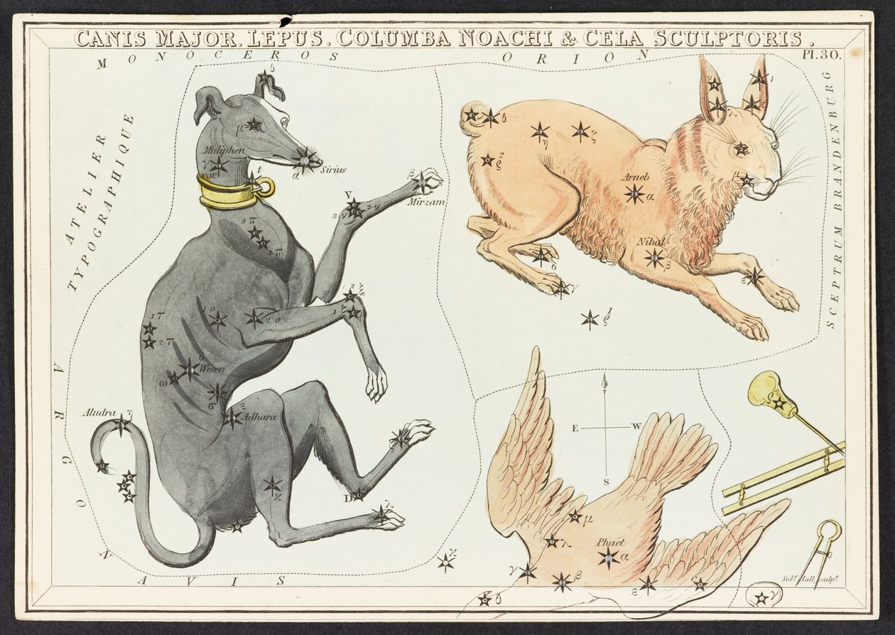 Kart C.44.A.42 Canis Major Lepus, fra 