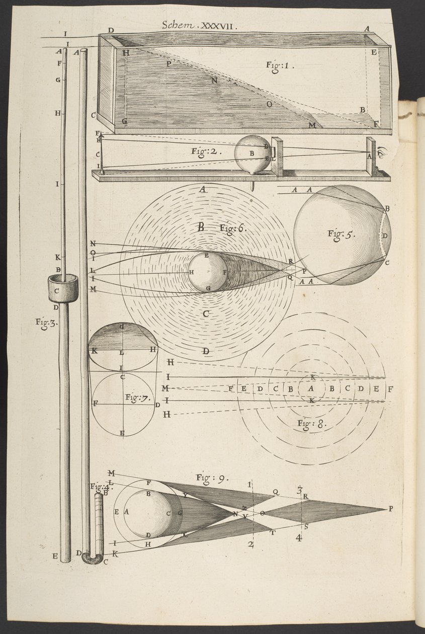 Mikrografi, eller noen fysiologiske beskrivelser av små kropper laget av forstørrelsesglass, med observasjoner og forespørsler etterpå», Robert Hooke av English School