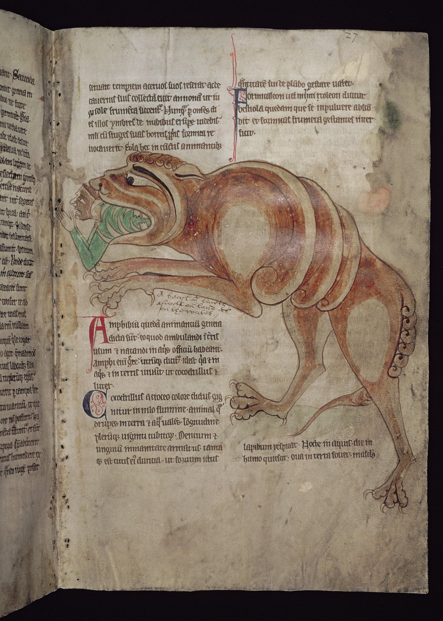 Ms.254 f.24 r Cocodrillus som svelger en mann av English School