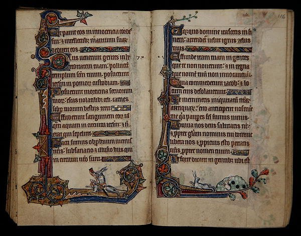 Ms 1-2005, ff.115v-116r: jakt på kanin som rir på en hund, marginal dekorasjon fra Macclesfield Psalter, Use of Sarum, East Anglia, ca. 1330 (vellum) av English School