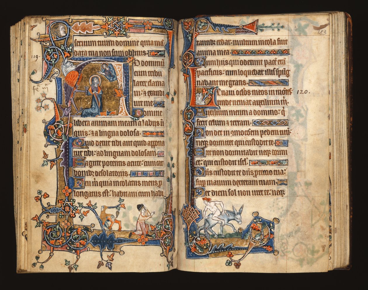 Ms 1-2005, ff.182v-183r: David ber, historisk initial fra Macclesfield Psalter, Use of Sarum, East Anglia, ca. 1330 av English School